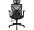 Кресло компьютерное ZONE51 X-PRIME Zen Black Z51-FLC-XPZ-BK 2