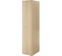 Шкаф Монолит Дублин для одежды узкий 430x570x1980 Акация лорка31 ДБ25.31
