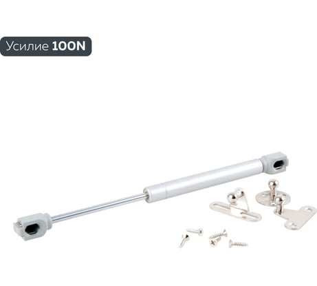 Газовый лифт Lemax PROF 100N, серебро M102/100