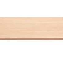 Мебельная деталь ТДВ ДМ 1-60 2730x600x16, бук 2601398