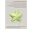 Керамическая ручка для мебели Blumen Haus Морская звезда цвет зеленый 66278 3