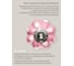 Керамическая ручка для мебели Blumen Haus В горох цвет розовый, рисунок белый 66259 4
