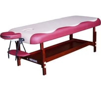 Массажный стационарный стол DFC NIRVANA SUPERIOR цвет бежево-винный TS300