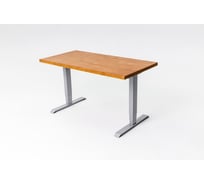 Стол с регулируемой высотой StolStoya ТИТАН 160x80 см, рама серая, столешница МДФ, шпон, дуб натуральный SE221ISDN16080