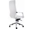 Компьютерное кресло Woodville Isida white/satin chrome 15427 4