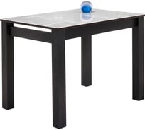 Стеклянный стол Woodville Раймунд венге, белый 462105