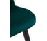 Стул Woodville Gabi 1 green, black 15378 5