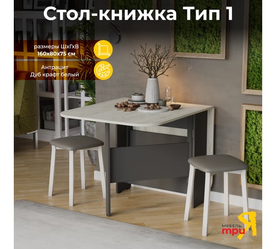 Стол-книжка ТриЯ Т1, антрацит, дуб крафт белый 215641
