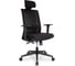 Кресло College CLG-429 MBN-B Black 1