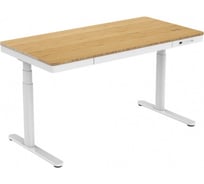 Стол для компьютера FoxGear с электроприводом, QI-зарядкой и USB-портами FG-ED-55W