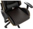 Компьютерное игровое кресло GAMELAB PALADIN Black GL-700 10
