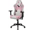 Компьютерное игровое кресло ThunderX3 TC5 Sakura White TX3-TC5SW 3