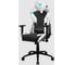 Компьютерное игровое кресло ThunderX3 TC3 Arctic White TX3-TC3AW 5
