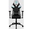 Компьютерное игровое кресло ThunderX3 TC5 Arctic White TX3-TC5AW 1