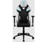 Компьютерное игровое кресло ThunderX3 TC5 Arctic White TX3-TC5AW 2