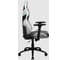 Компьютерное игровое кресло ThunderX3 TC5 Arctic White TX3-TC5AW 7