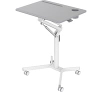 Стол для ноутбука CACTUS CS-FDS101WGY столешница МДФ, серый 70x52x105 см 1770887