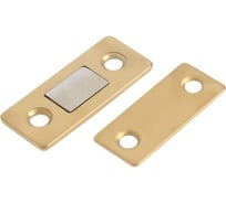 Магнитная защелка ТУНДРА цвет золото 9143839