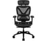 Игровое компьютерное кресло ThunderX3 XTC-Mesh Black TX3-XTCMB 1