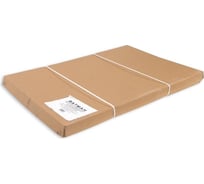 Ватман Kroyter профессиональный набор, а1, 100 л, 200 г, 600x840 мм 01362 82803