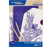 Бумага копировальная Expert Complete 20 л, ECCP-020, 23 г/м2, A4, 03-фиолетовая 753171