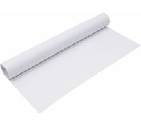 Ватман BRAUBERG в рулоне 1.2 x 10 м, С-Пб, плотность 200 г/м2 110974