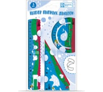Набор гибких линеек  Феникс+ РАЗНОЦВЕТНЫЙ 20 см, ПВХ, УФ-печать, фигурная вырубка, подложка из мелованного картона + ПЭТ-пакет с европодвесом 52676