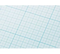 Масштабно-координатная бумага Gamma 65 г/кв.м, 21 см х 29.7 см, 20 шт, миллиметровка, в пакете, А4 12822 387611