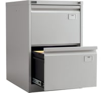 Картотека ПРАКТИК NF-02 S20299512112