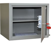 Шкаф КОНТУР Д-29м 160001021