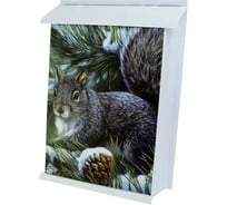 Почтовый ящик ДЕД МАКАР ДМ80 ПОЧТА Белка с замком 00-00014928