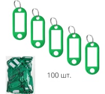 Брелок для ключей ТПК Технологии Контроля 100 шт, цвет зеленый 100 шт. 24409