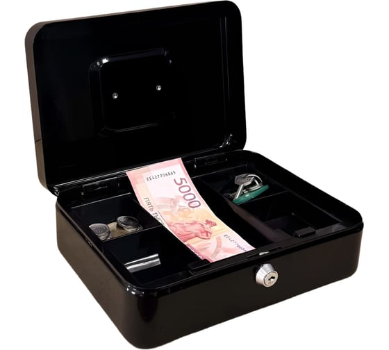 Ящик для хранения денег ТПК Технологии Контроля Кэшбокс YFC-25, цвет: черный 24419
