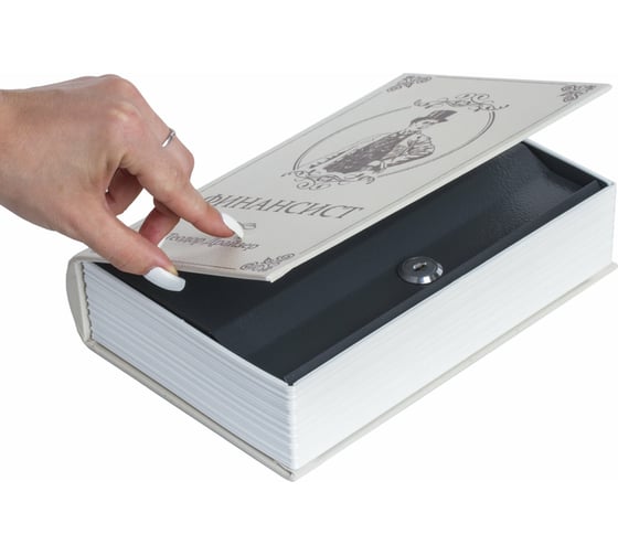 Сейф-книга BRAUBERG ФИНАНСИСТ, 60х170х240 мм, ключевой замок 291057