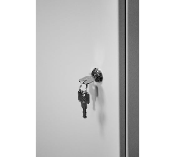 Шкаф для газовых баллонов DRAGONKIT 50л на 1 шт. с замком 00-00003645