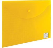 Папка-конверт BRAUBERG с кнопкой My Clear Bag, А4, до 100 листов, прозрачная, ассорти, 0,15 мм 225174