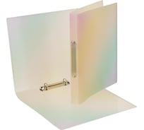Папка Attache на 2-х кольцах А4 rainbow, рр, 600 мкм 1695237