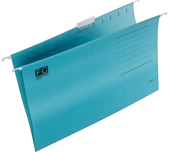 Подвесная папка DELI e5469 foolscap картон, цвет в ассортименте, 25 штук в упаковке (13623) 1761283