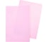 Доска для лепки Hatber NEWtone Pastel, А4, пластиковая, пион 070906 2