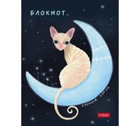 Бизнес-блокнот Hatber 80 л, А6, клетка, твердый переплет, лунный кот, 36 шт в упаковке 066217