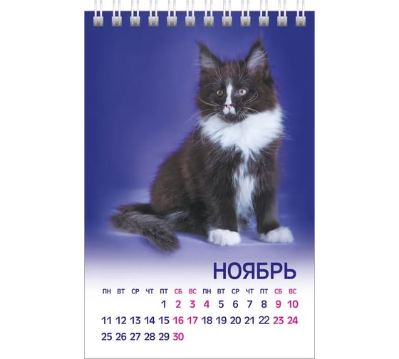 Настольный календарь Hatber ДОМИК 105x160 мм, мелованная бумага, стандарт, МУРчат Коты 079849