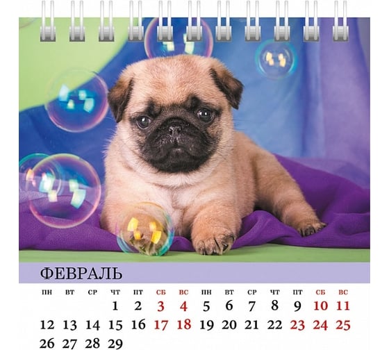Настольный календарь Hatber ДОМИК 101x101 мм, мелованная бумага, квадрат, Верный друг 079385