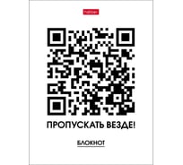 Бизнес-блокнот Hatber 160 л, А6, клетка, твердый переплет, глянцевая ламинация, пускать везде, 20 шт в упаковке 075764