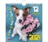 Перекидной календарь Hatber ДОМИК 160x170 мм, картон, POST с открытками, Усы, лапы, хвост 081735 1