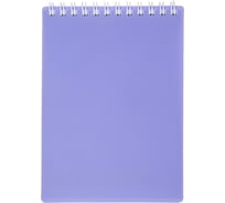 Блокнот Hatber Premium NEWtone PASTEL 80 л, А6, клетка, бумага офсетная, 80 г/кв.м, запечатанный титульный лист, лаванда, 48 шт в упаковке 061932