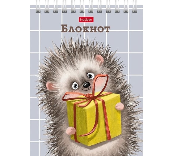 Блокнот Hatber Хорошо быть ёжиком 40 л, А6, клетка, обложка мелованный картон, УФ-лак, 96 шт в упаковке 080472 1