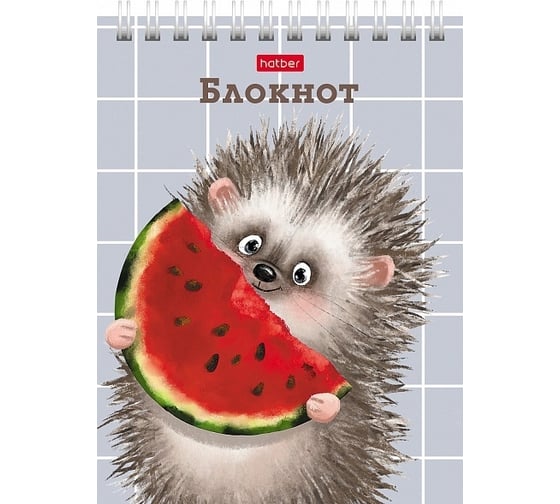 Блокнот Hatber Хорошо быть ёжиком 40 л, А6, клетка, обложка мелованный картон, УФ-лак, 96 шт в упаковке 080472