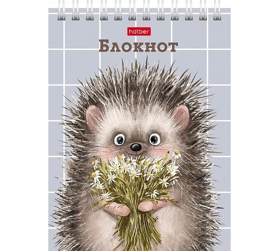 Блокнот Hatber Хорошо быть ёжиком 40 л, А6, клетка, обложка мелованный картон, УФ-лак, 96 шт в упаковке 080472
