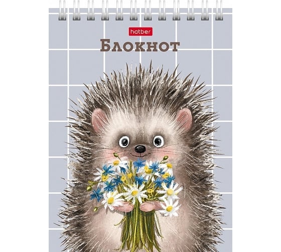 Блокнот Hatber Хорошо быть ёжиком 40 л, А6, клетка, обложка мелованный картон, УФ-лак, 96 шт в упаковке 080472