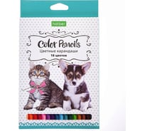 Цветные карандаши Hatber ECO 18 цв., Верные друзья 068383